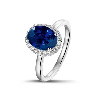 ルビー、サファイヤ、エメラルド付きのジュエリー - Halo ring in white gold with an oval sapphire