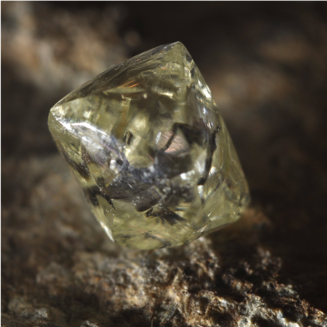 Deze ruwe diamant wordt ooit een fonkelend sieraad – BAUNAT