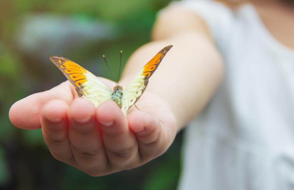 Close-up vlinder op hand. Vind bij BAUNAT vlinderoorbellen voor dames, een bijzonder Moederdag cadeau. 