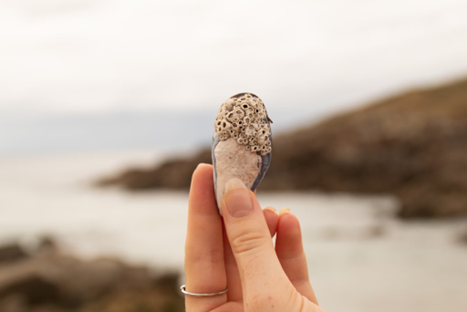 woman wearing an engagement ring after it had been hidden in a seashell by her husband