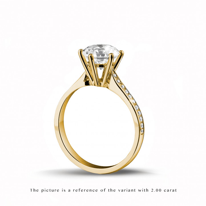 3.00 karaat diamanten solitaire ring in geel goud met zijdiamanten