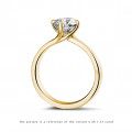 2.50 karaat diamanten solitaire ring in geel goud