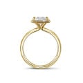 0.70 karaat Halo solitaire ring met een princess diamant in geel goud met ronde diamanten
