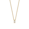 0.15 karaat solitaire hanger met emerald geslepen diamant in geelgoud