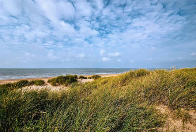 Duinlandschap aan zee met helmgras, zandstrand en blauwe lucht boven de kust